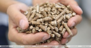 В Беларуси до конца года введут три пеллетных производства 02b6143a2007abde94ac55d4fa7c3a05 - Информационно-аналитическое издание города Могилев