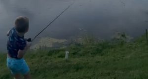 Аллигатор стащил из-под носа улов семилетнего рыбака (Видео) 85b01cf5aa9b84b0ee3e0c22be056e8f - Информационно-аналитическое издание города Могилев