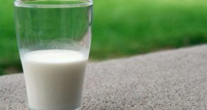 Диетолог Гинзбург рекомендовал употреблять кисломолочные продукты для профилактики рака e7cf7b22b15c71e7d0b4c83ad1abfabb - Информационно-аналитическое издание города Могилев