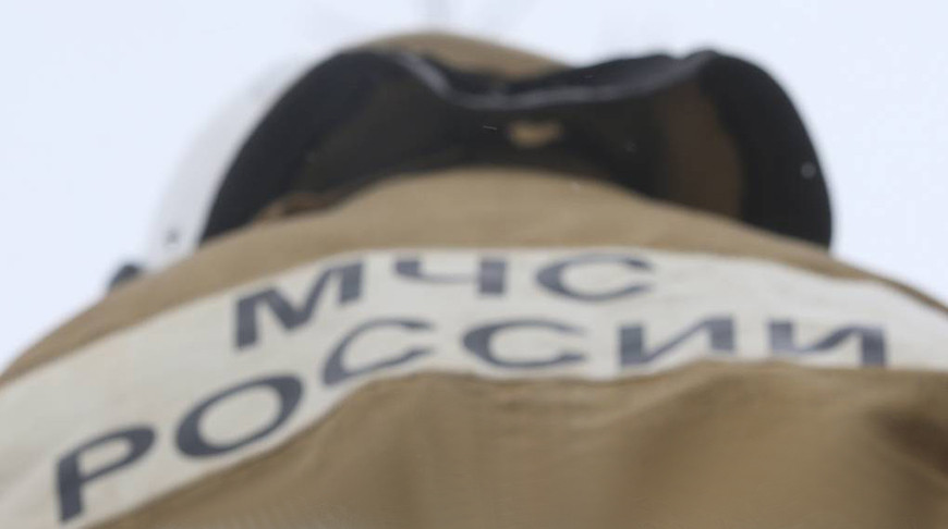 В России спасли более 80 рыбаков на оторванных льдинах в Финском заливе